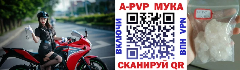 KRAKEN как войти  Кстово  A PVP крисы CK 