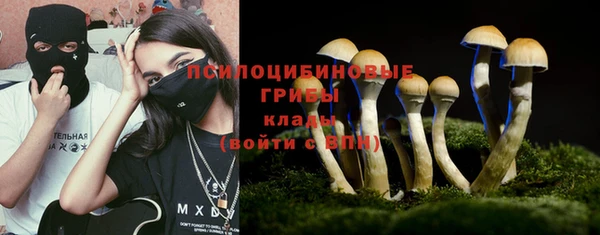 экстази Ельня