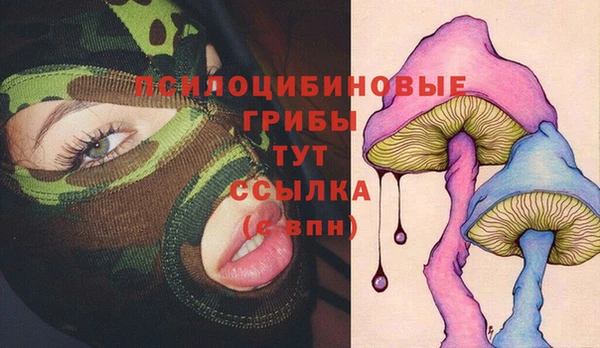 синтетический гашиш Елабуга