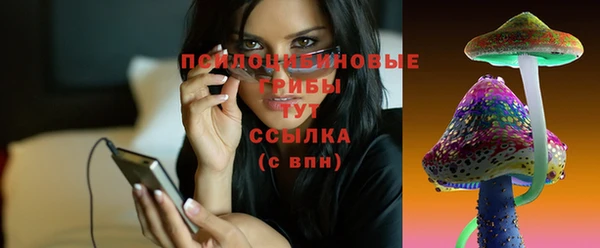 экстази Ельня