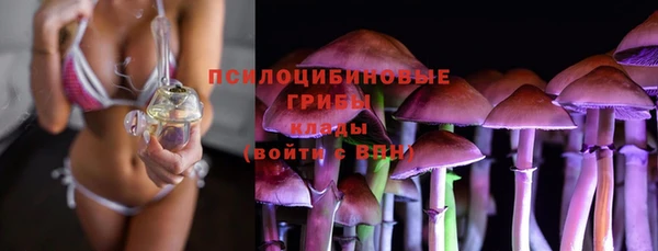 экстази Ельня