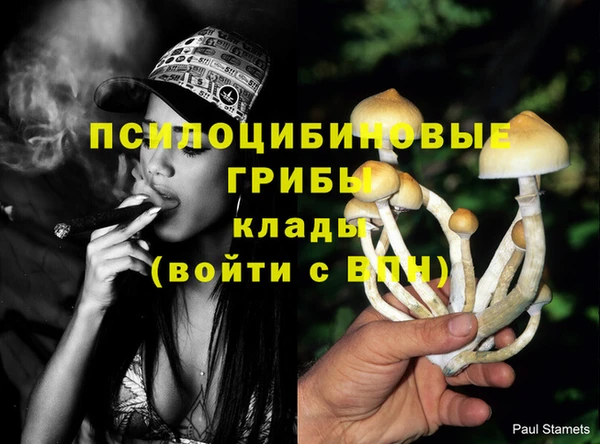 синтетический гашиш Елабуга